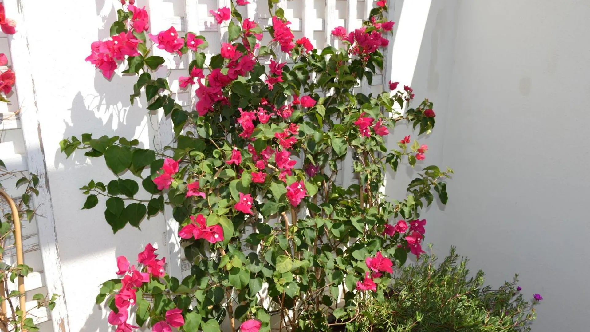 Rsh14A - Terrace With Hot Tub And Fantastic Views Lägenhet Estepona Spanien